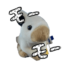 まっくんはっぴーばーすでい