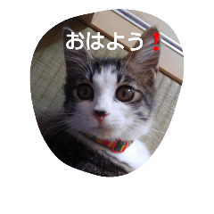 ちぃちゃんの毎日会話