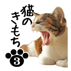 猫のきもち 3