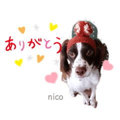 葉ニコスタンプ