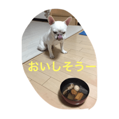 フレブルのひまわりk