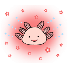 Lovely little salamander