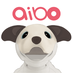 aibo