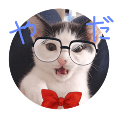 じじまるすたんぷ