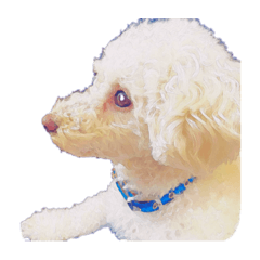 犬のスタンプ(ラウル君)