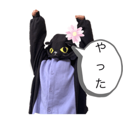 ネコネコネコネコネコネコ