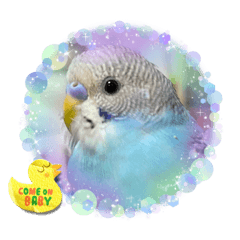 ゆきちゃん宅スタンプ35