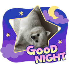 愛らしい子たち