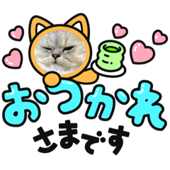 我が家のCatsたち