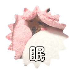 Ayaka_20221024204945