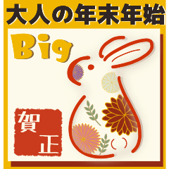 ❤️ BIG❤️大人の年末年始❤️毎年使える
