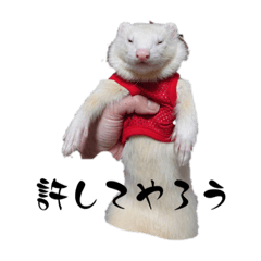 可愛いチビ軍団