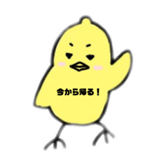 レモンバードのイケイケスタンプ