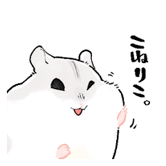 もっちり怠惰なジャンガリアンハムスター