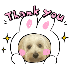 マルプーまるこスタンプ