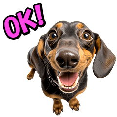 リアル⭐ミニチュアダックス