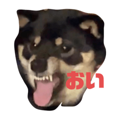 あずちゃん！！