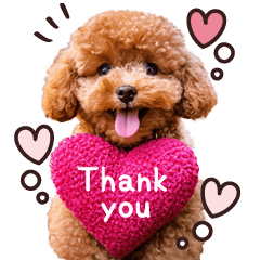 色んな犬さん♡集まりました