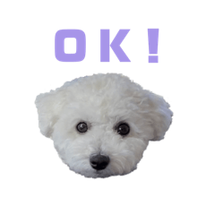 しょうごとマール。2