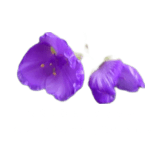 大切な人達への言葉