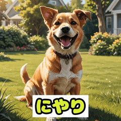 表情いぬ - 感情だだもれスタンプ