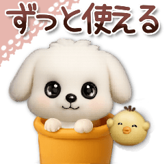 毎日ずっ〜と使える★愛犬マルチーズ【3D】