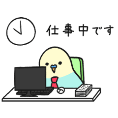 働く！社会に出たレインボーインコ⭐︎