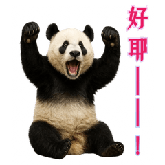 Cute Animal Friends-Taiwan Panda