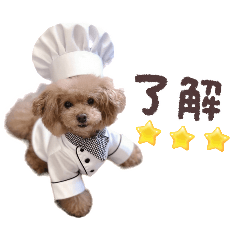 ちびっこぷーどる【毎日使える①】