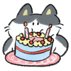 Popo , Black white cat daily