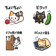 猫あるあるピクセル