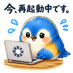 オンライン交流のルリビタキ