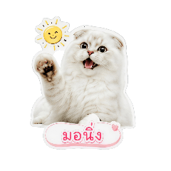 Toru 17_20260506231952