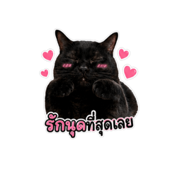 Hathaichanok_20260512132617