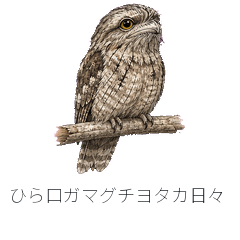 ひら口ガマグチヨタカ日々