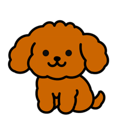トイプーのプぅちゃん