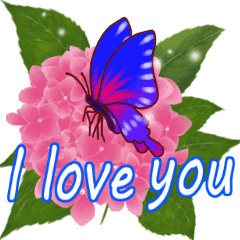 Collection of love words