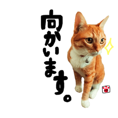 トロとたまに使う言葉シリーズ2