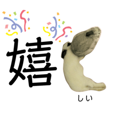 うさぎ 日常会話スタンプ2