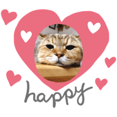 マロコロチョロパート2