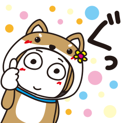 はな子✿わんこ。