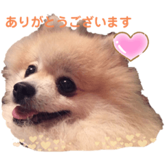 すずちゃんズ！