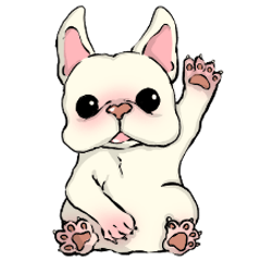 フレンチブルドックのわらびくん