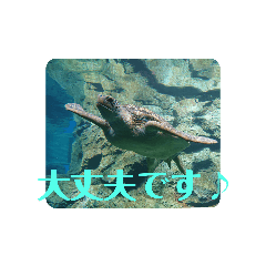 水族館 stamp