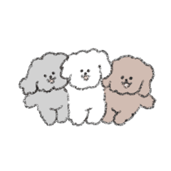 いまどきのトイプー