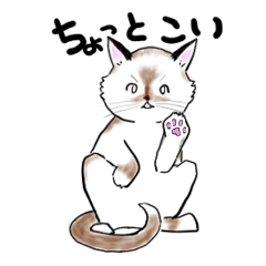 ロキくんのちょっとこい