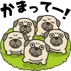 パグがいっぱい 毎日使える