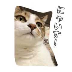 しずくさんスペシャルスタンプ