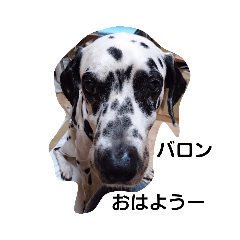 ハート・バロン