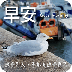 Good Morning the world